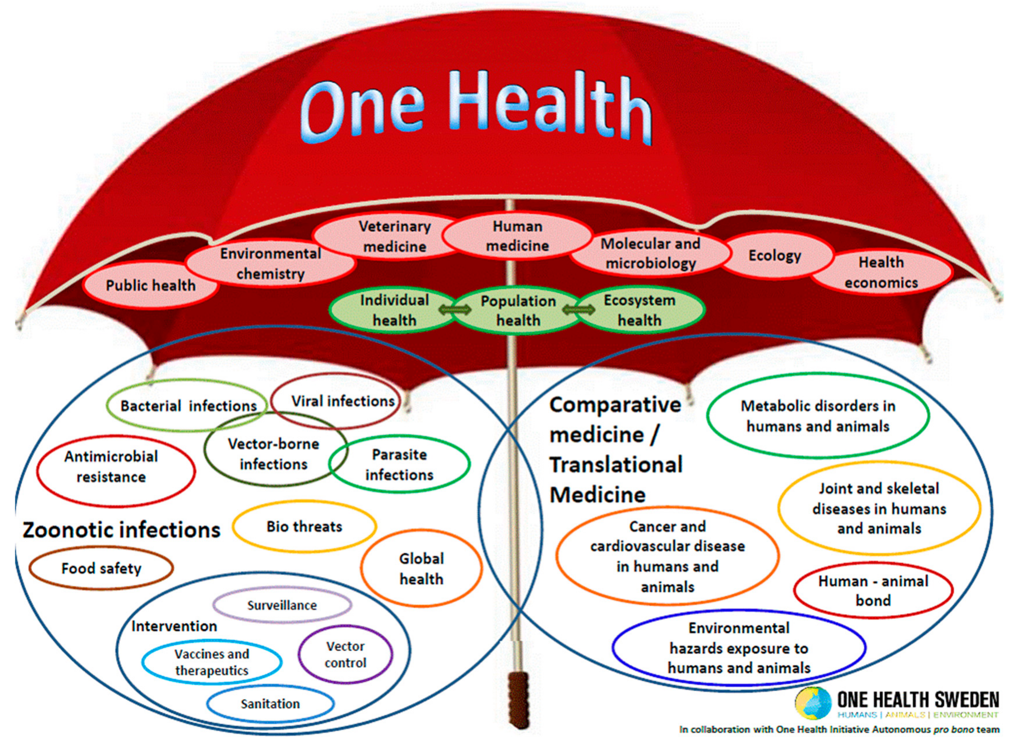 presentation on one health